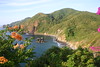 Manzanillo : 